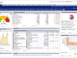 Netsuite Cloud Computing Solusi Bisnis Masa Kini