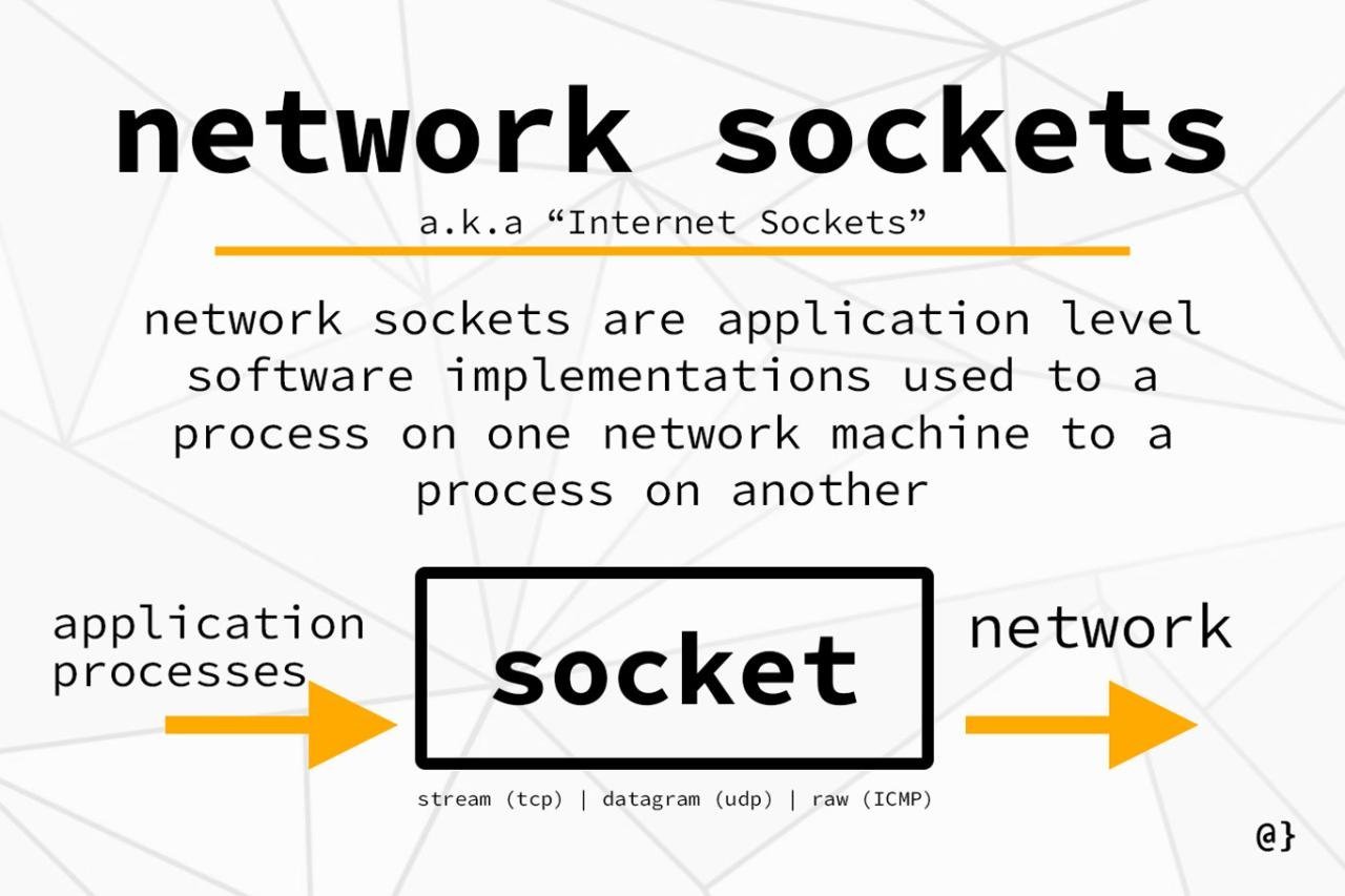 What Are Sockets In Computer at Kathaleen Velasquez blog What Are Sockets In Computer at Kathaleen Velasquez blog